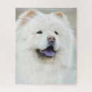 Search for adoption puzzles Pets