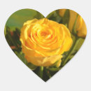 Search for yellow roses heart stickers Floral