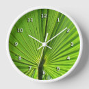 Search for palm leaf clocks Tropical