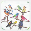 Search for songbird stickers Colourful