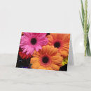 Search for daisies note cards Petals