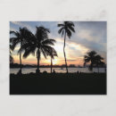 Search for south beach miami postcards Travel