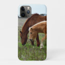 Search for palomino cases Mare