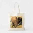 Search for herds bags Bison