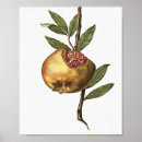 Search for pomegranate gifts Artistic