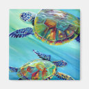 Search for sea turtle magnets Hawaii