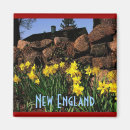 Search for multi region magnets Landscapes