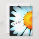 Search for daisy picture cards Photograph