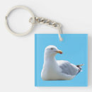 Search for sunbathing key rings Wildlife