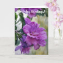 Search for happy birthday sharon Flower