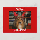 Search for raindeer christmas cards Cute