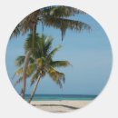 Search for belizean stickers Barrier reef