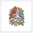 Search for backyard bird stickers Chickadee