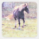 Search for pinto stickers Pony