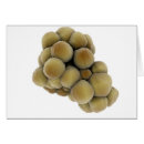 Search for pathogen Medical