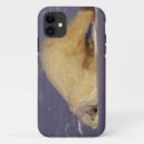 Search for churchill iphone cases Bear