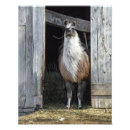 Search for goofy posters Cute