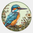 Search for kingfishers stickers Wildlife