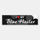 Search for blue heeler bumper stickers Dog