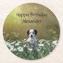 Search for dalmatian coasters Cute