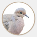Search for cute dove stickers Nature
