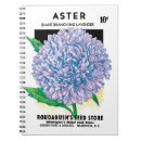 Search for asters notebooks Vintage