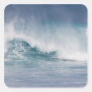 Search for maui hawaii stickers Surf