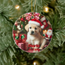 Search for labrador retriever christmas tree decorations Pet