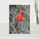 Search for royal birthday cards Celebrate