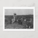 Search for picks postcards Black