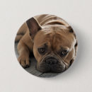 Search for your design badges Cat
