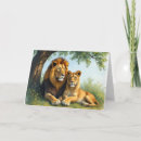 Search for lion portrait cards Nature