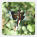 Search for dragonfly wings stickers Nature