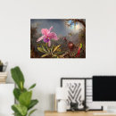 Search for orchid posters Exotic