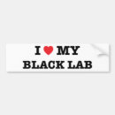 Search for black lab bumper stickers Heart