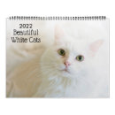 Search for white cat calendars Kitten