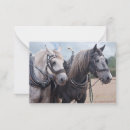 Search for working horse cards Percheron