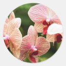 Search for hybrid stickers Nature