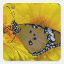 Search for colourful tiger stickers Wildlife