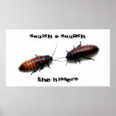 Search for keds Cockroach