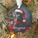 Search for cane corso christmas tree decorations Mastiff
