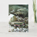 Search for brook cards Nature
