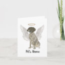 Search for german shorthaired pointer cards Gsp
