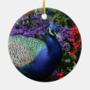 Search for peacock feather christmas tree decorations Plumage