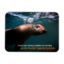 Search for bubble photos magnets Underwater