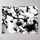 Search for first snow posters Winter