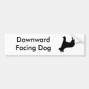 Search for blue heeler bumper stickers Red