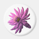 Search for fuchsia flower magnets Floral