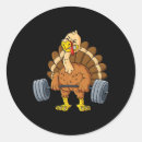 Search for fitted stickers Turkey