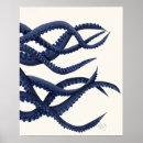 Search for tentacles posters Octopus